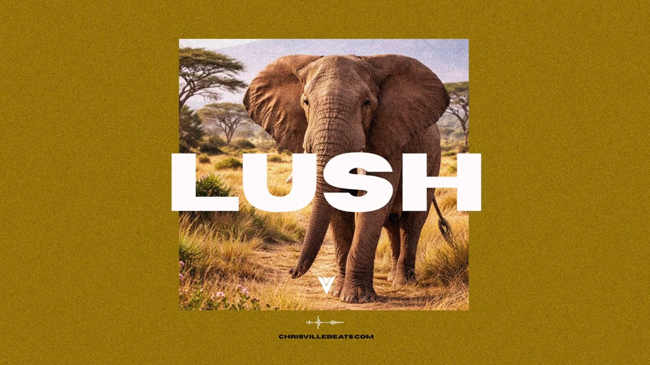 “Lush” – Dancehall Riddim Instrumental 2026 | Smooth Dancehall Type Beat 2026