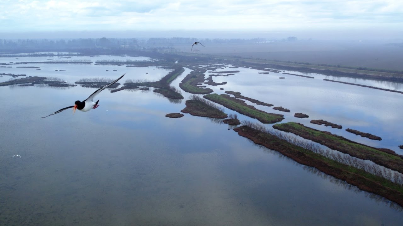 Volo sul Delta del Po - Parte 3°