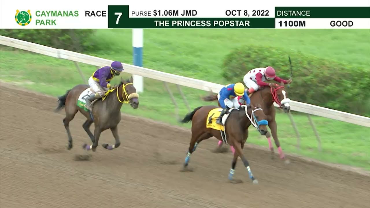 Caymanas Highlights - October 10, 2022 | SportsMax TV