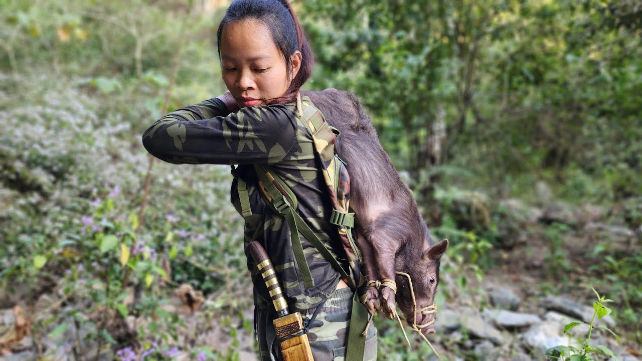 Trap and trapping skills Catch wild boar in the wild and survive alone / Wild survival