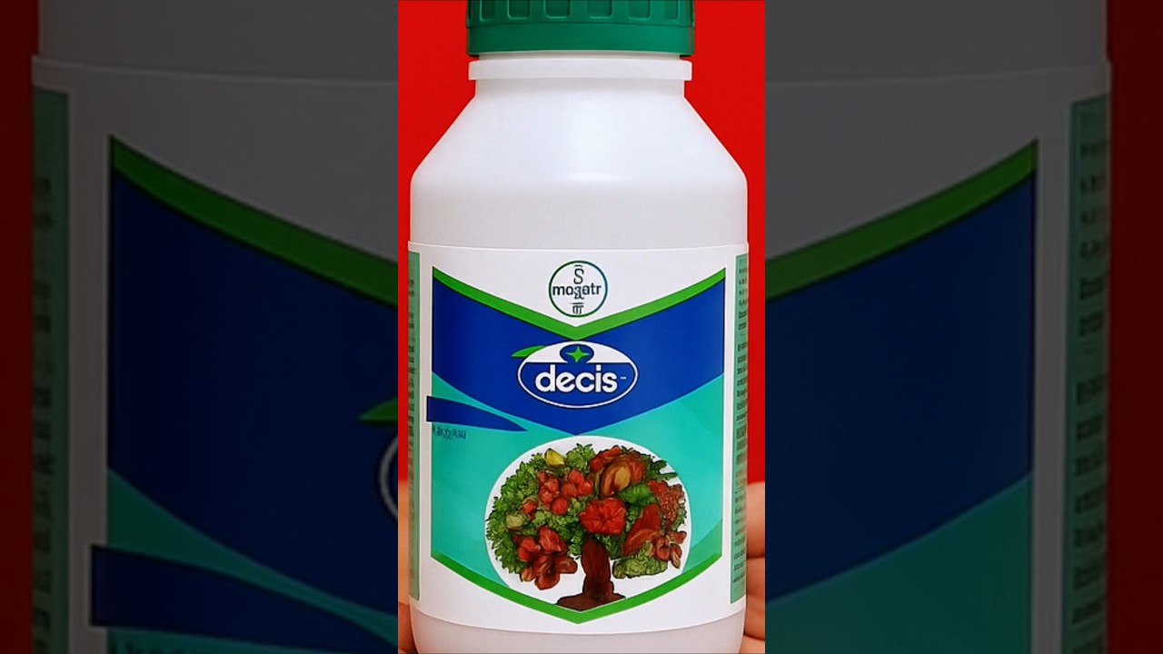 Bayer Decis does l Decis 100 l village Farmer l