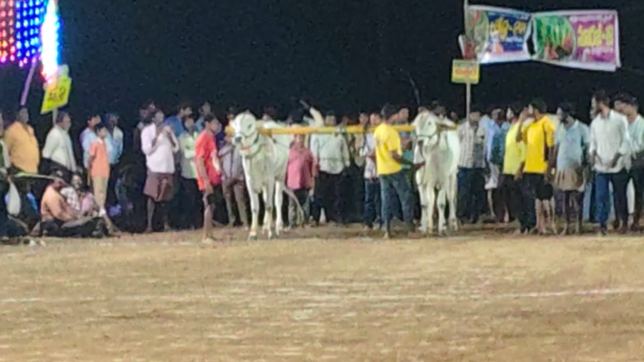 మాచవరం గ్రామం టచ్ పళ్ళు విభాగం 14వ జత