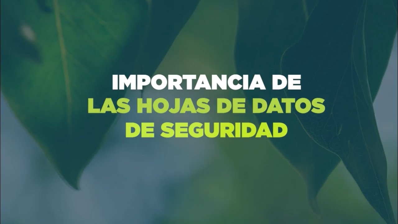 Hoja de Datos de Seguridad