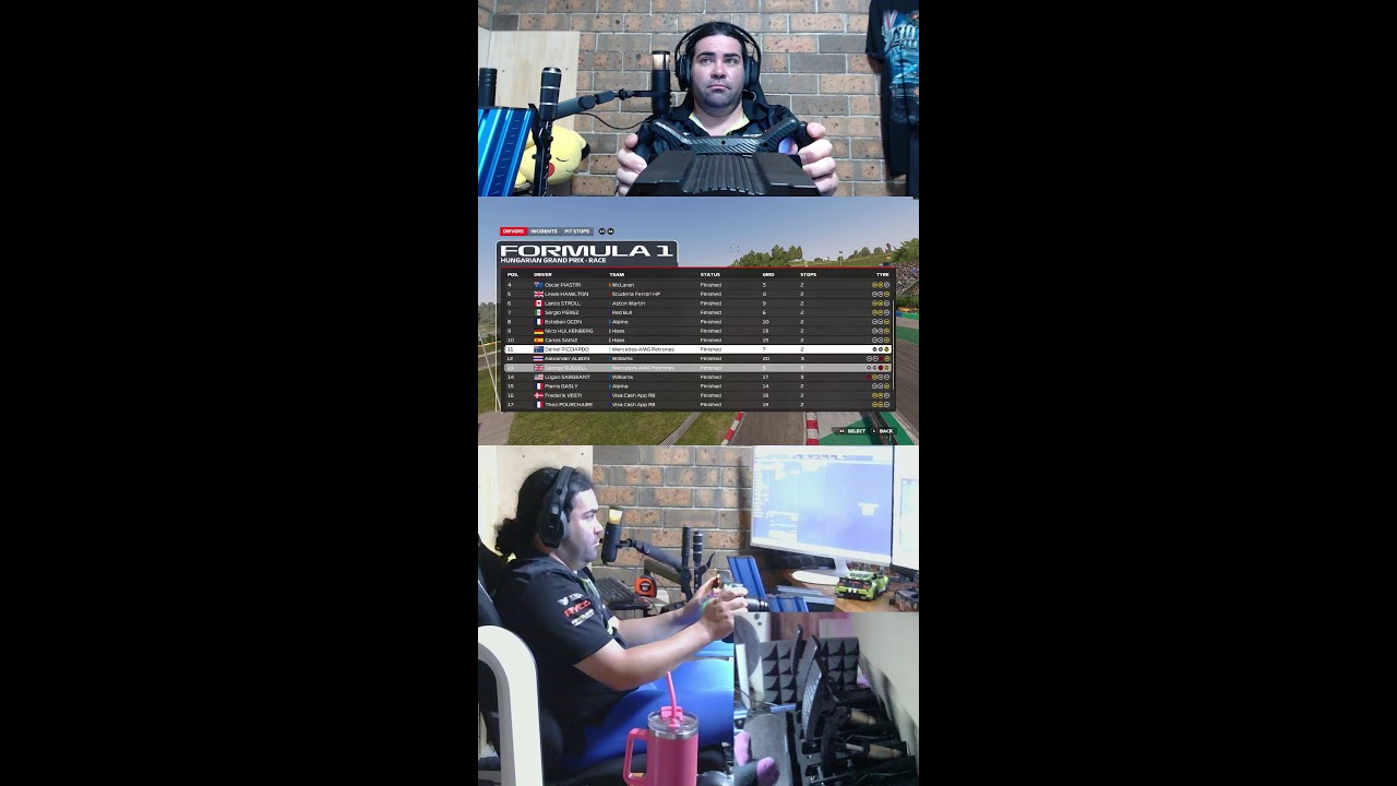 F1 24 hungary 100%  race