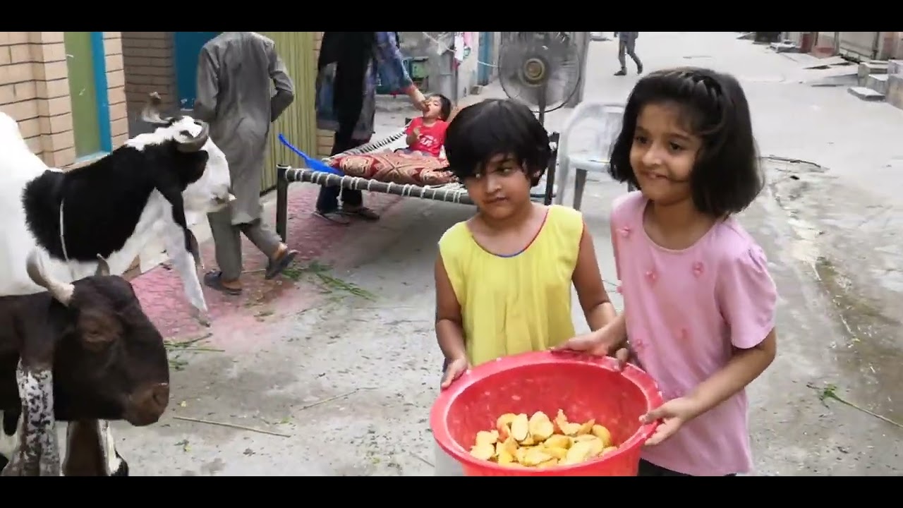 Falak & Huda enjoying with Bakray