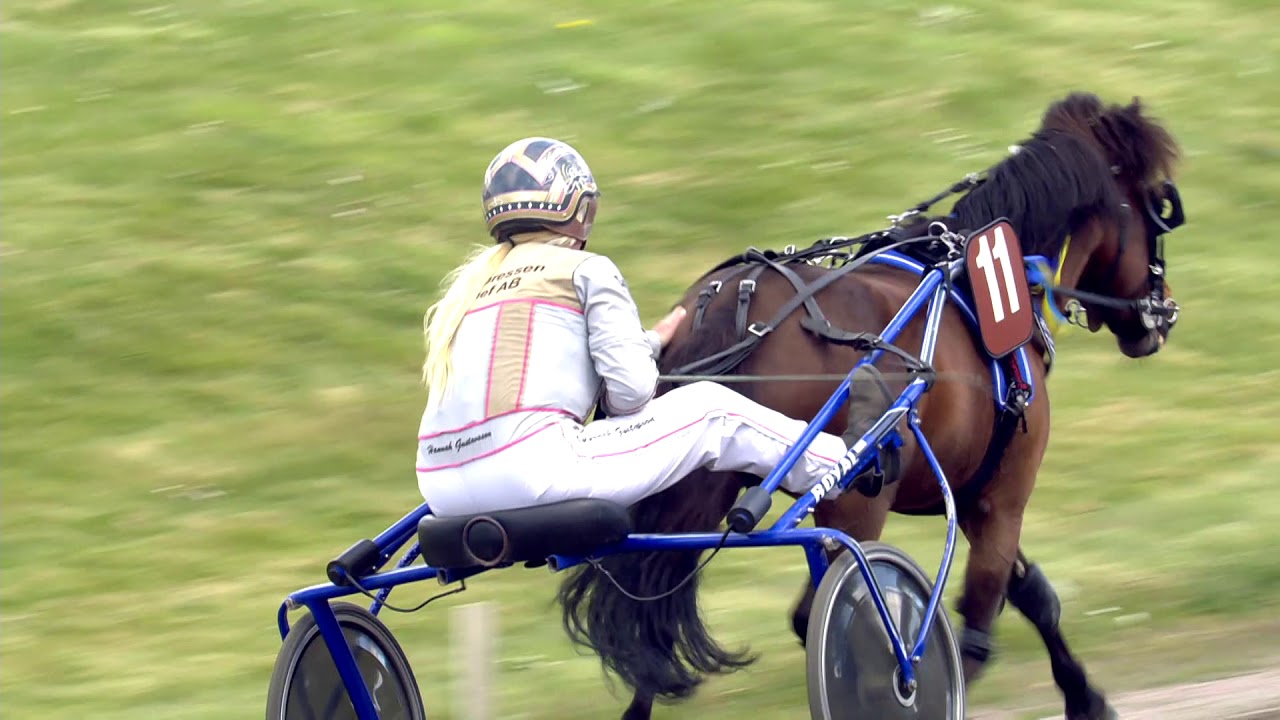 Ponyløb - Copenhagen Cup-dagen Charlottenlund Travbane d. 12. maj 2019