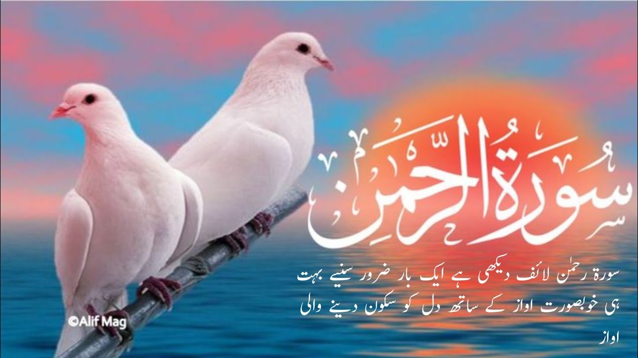 Tanveer Shah  is live!