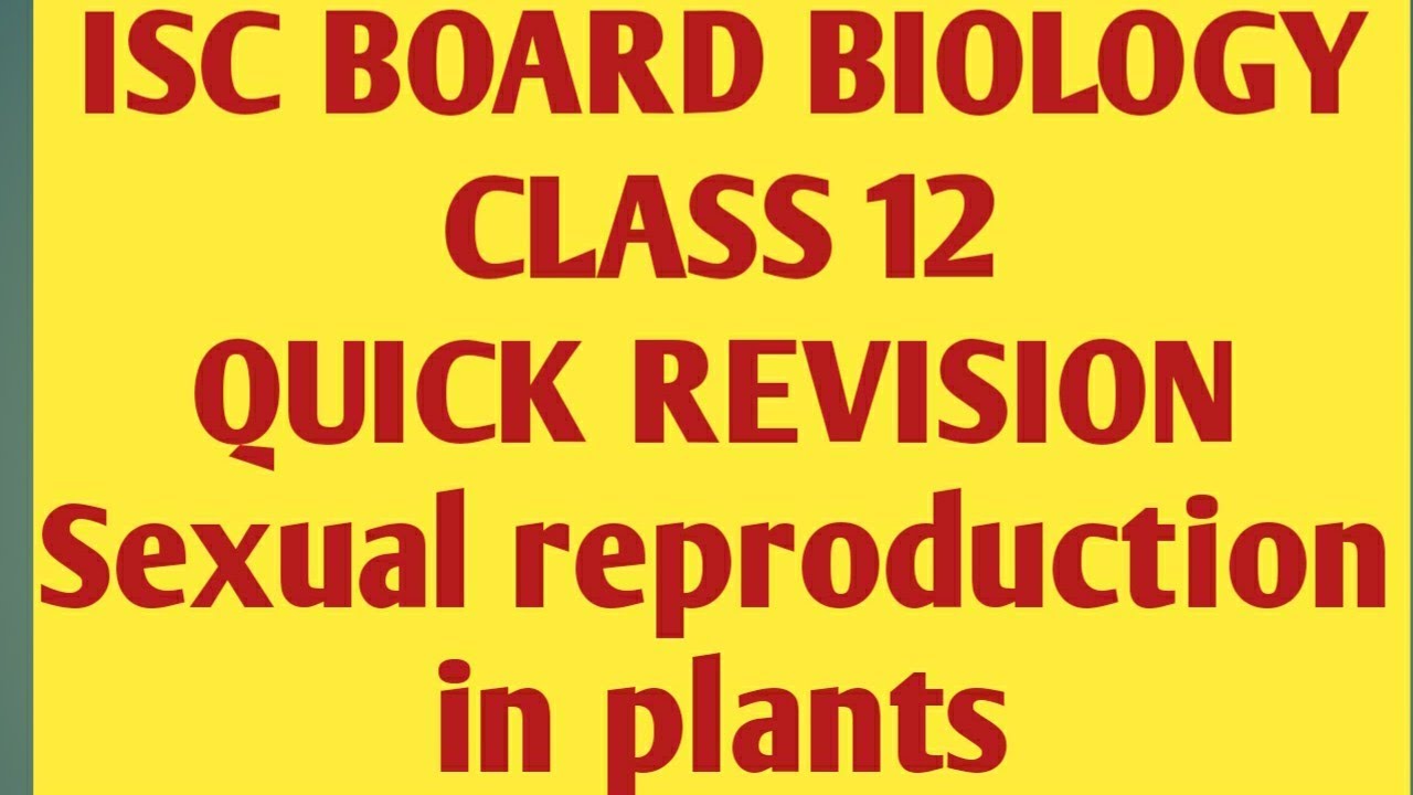 ISC BOARD BIOLOGY | CLASS 12 |Quick revision|Sexual reproduction in plants| by my biology mantra