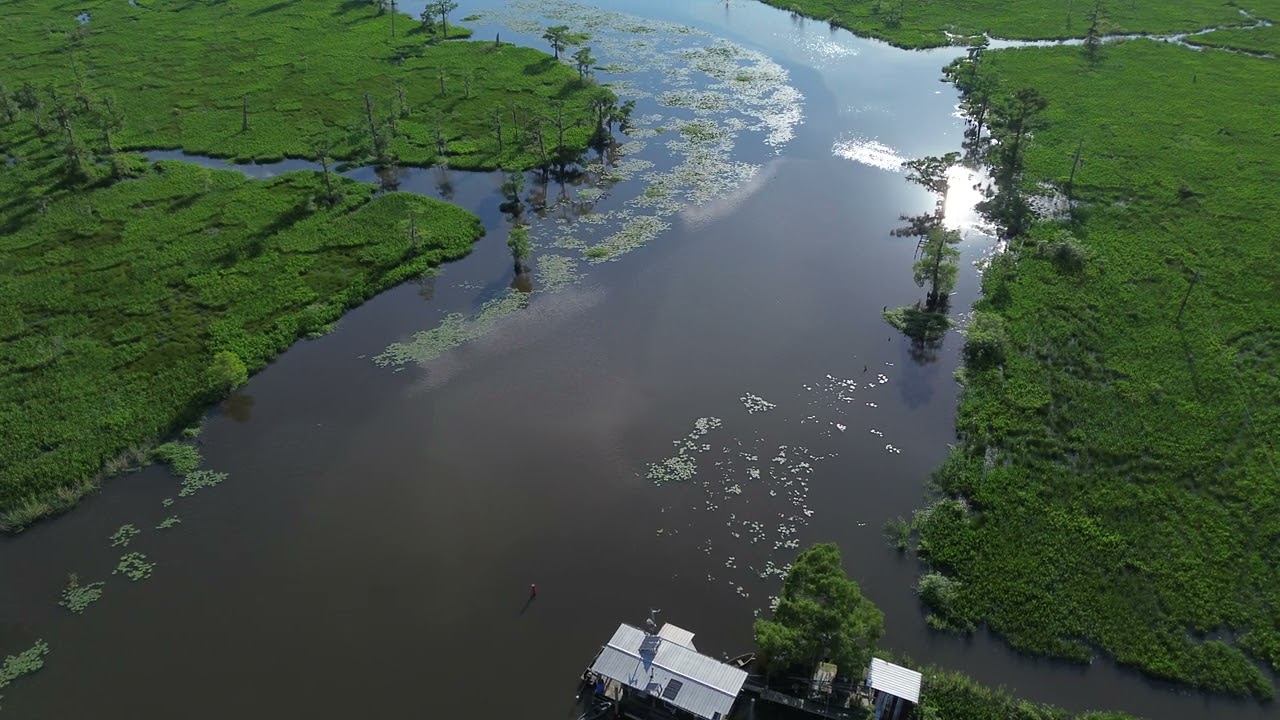 Near Manchac Pass, Louisiana