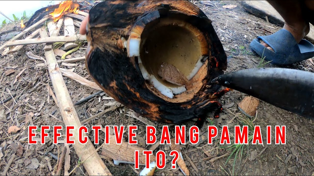 Effective ba ang inihaw na niyog na pamain sa hipon? Sinubukan ko at ito ang nangyari