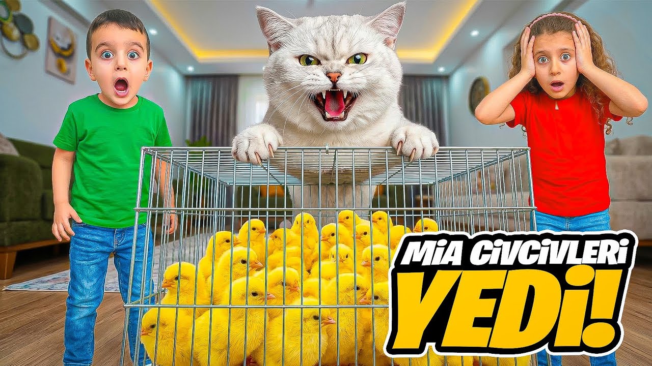 MİA KOMŞUNUN CİVCİVLERİNİ YEDİ!!!POYRAZ ELİF CİVCİVLERİ KURTARDI MI!!!