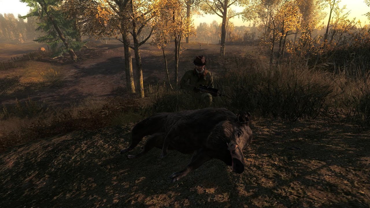 Let's Play The Hunter #2 - Hirschfelden
