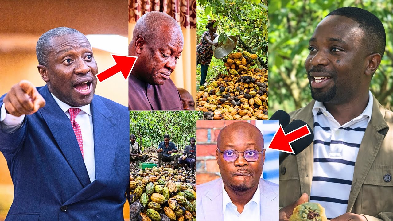 Cocoa farmers need their money, not your English! Afenyo Markin & Miracles Aboagye fire Mahama & Ato