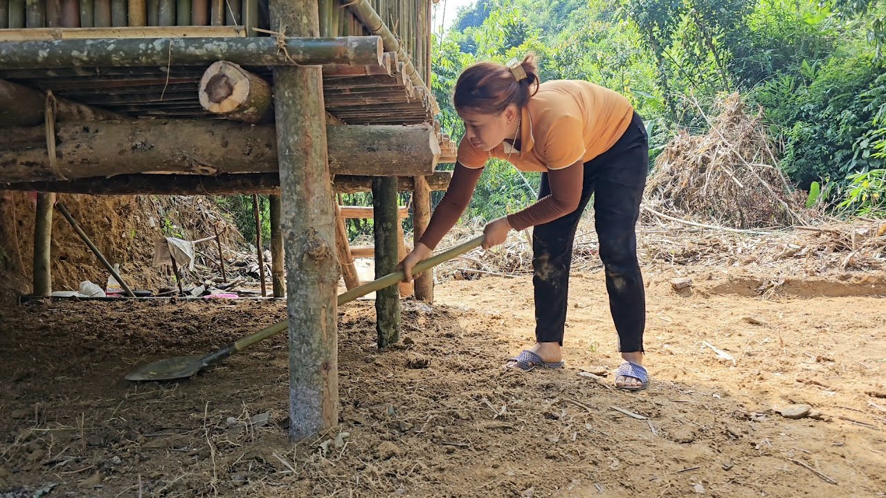 After digging the kitchen floor, harvest wild banana flowers to sell on the street Ly Phuc Ca