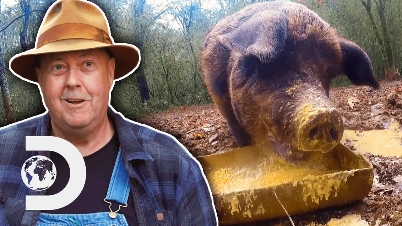 Mark & ​​Digger нашли креативное решение проблемы нехватки банок Mason