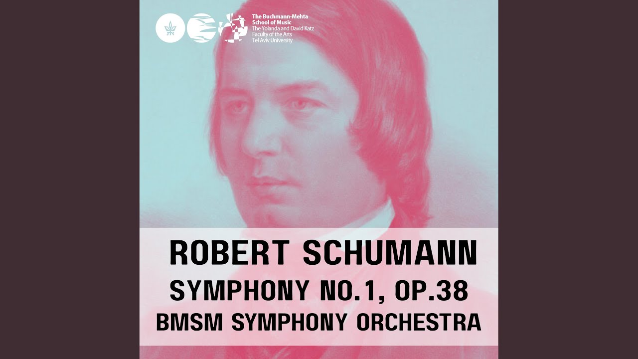 Andante un poco maestoso, Allegro molto vivace (feat. Zubin Mehta)