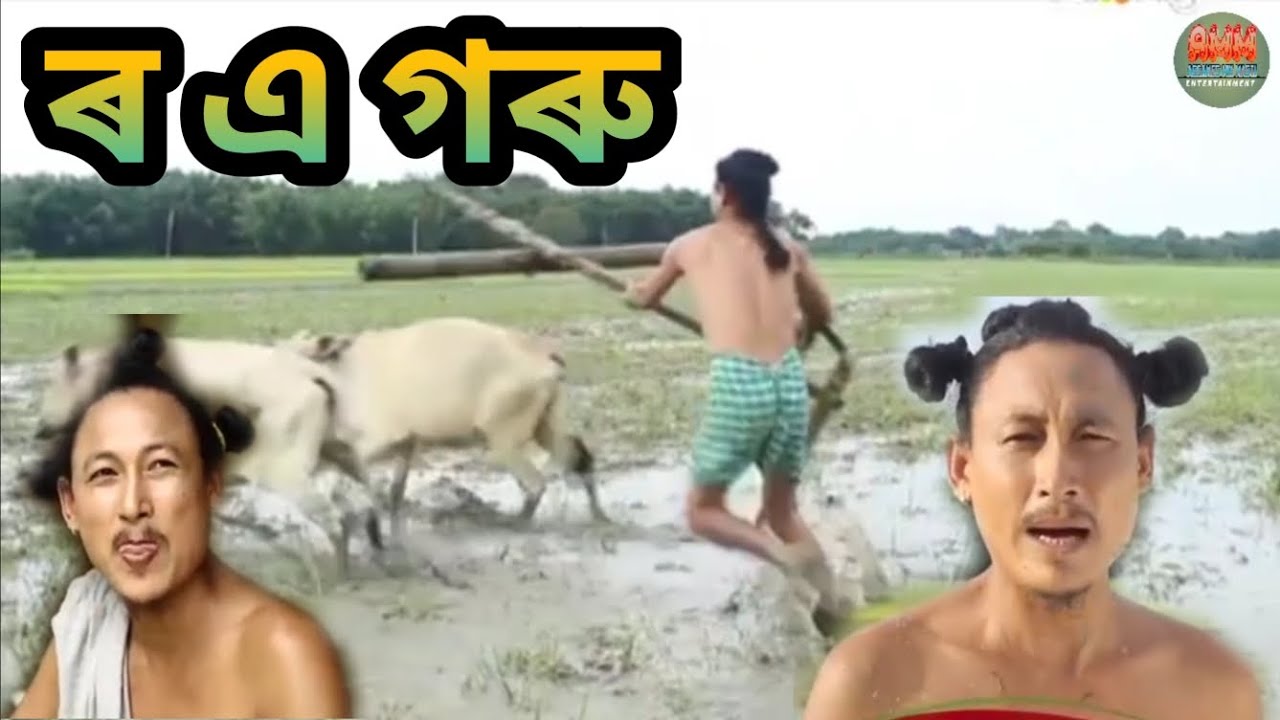 ৰ এ গৰু || Bipul Rabha Comedy || Oi khapla 377 || Assamese Mix MasTi