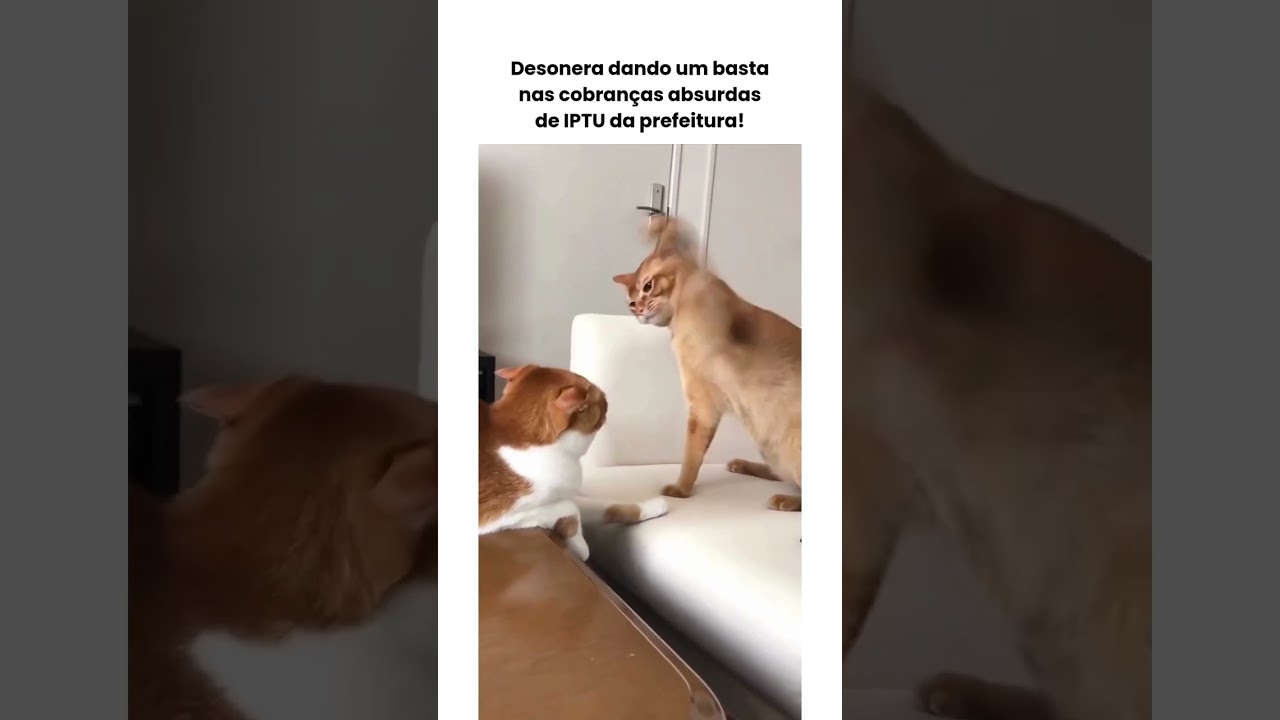 Chega de cobran&ccedil;as absurdas de IPTU! 💥