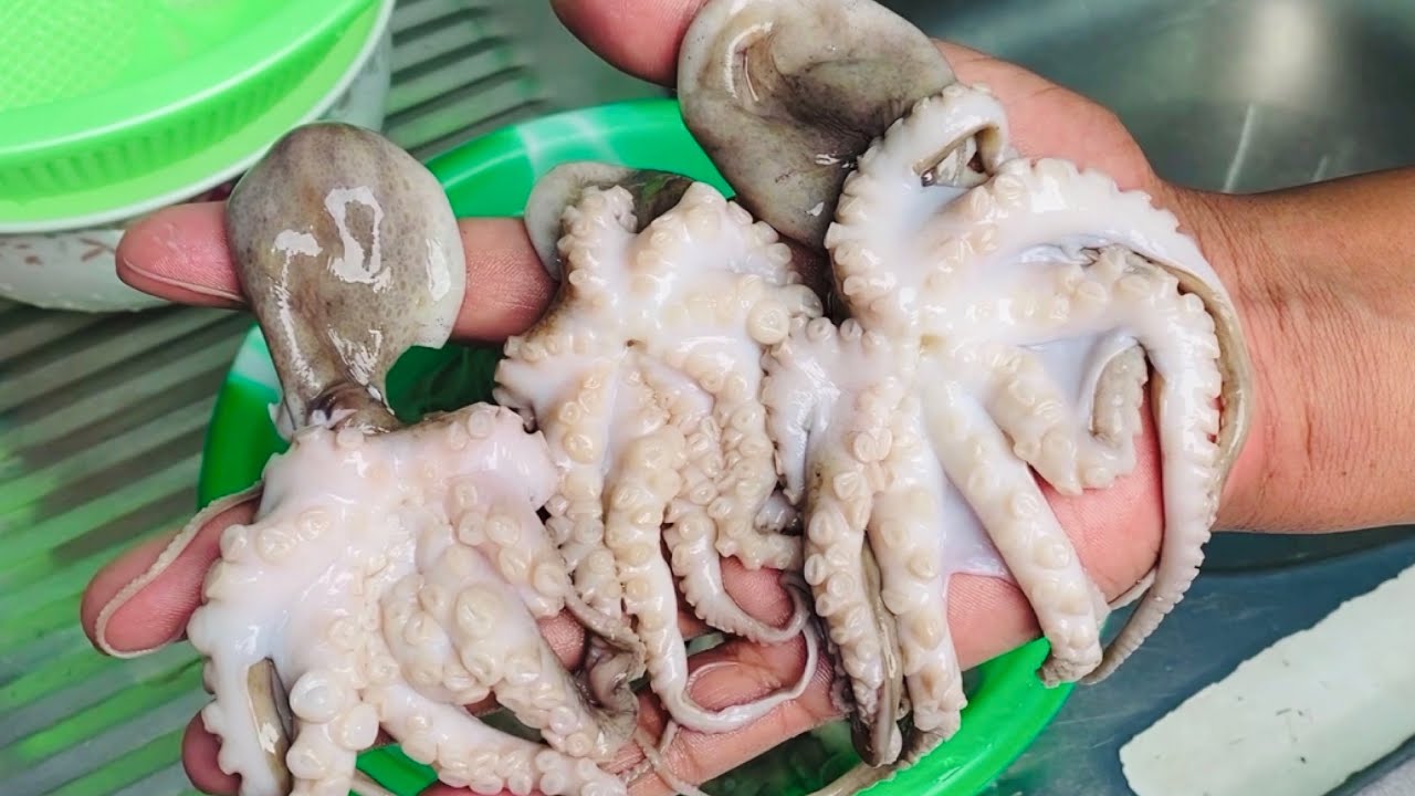 How to clean and prepare Octopus
ရေဘဝဲကို ညှီနံ့မရအောင်နဲ့မချွဲအောင် ဘယ်လို သန့်စင်ဆေးကြောကြမလဲ??