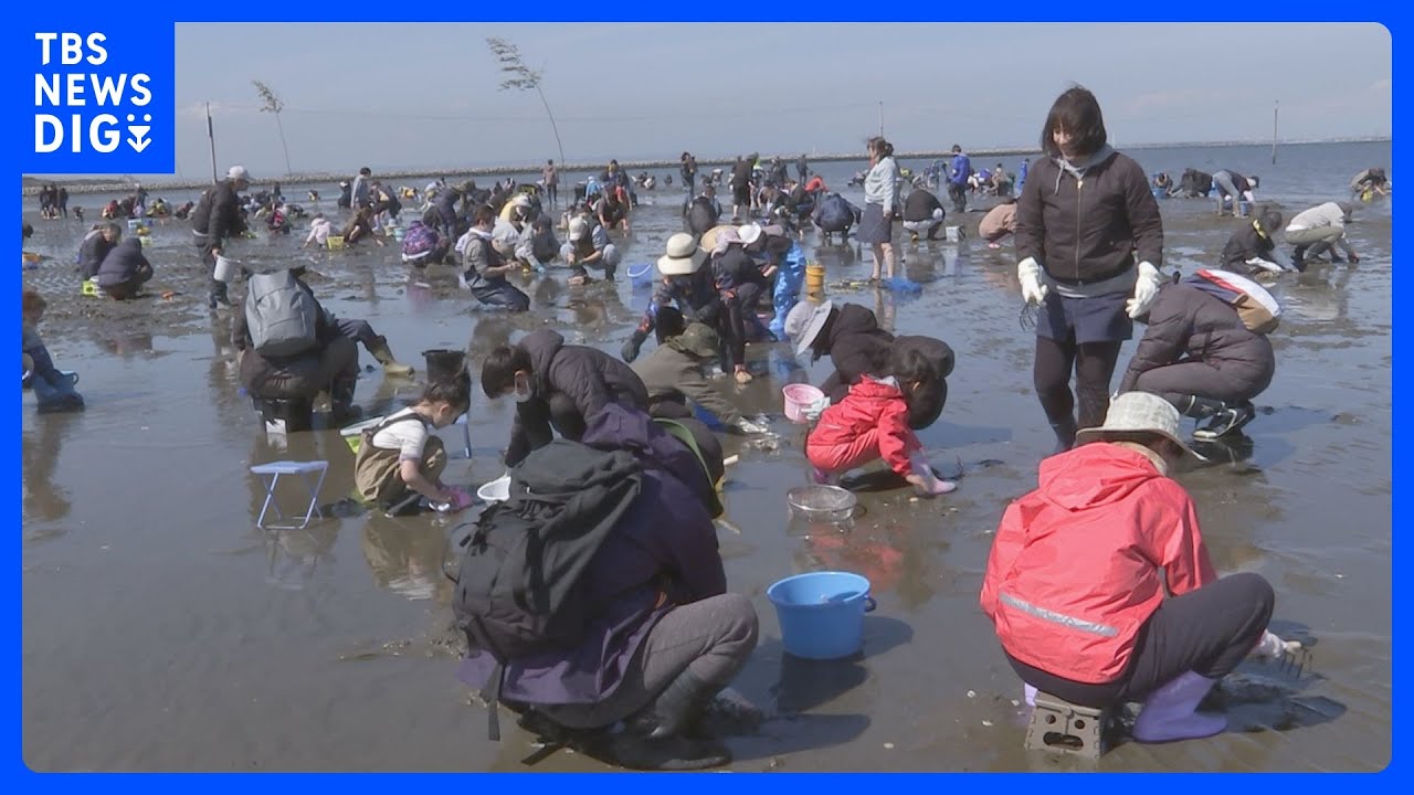千葉・富津海岸で潮干狩りがオープン　東京湾で最も早い春のレジャー｜TBS NEWS DIG