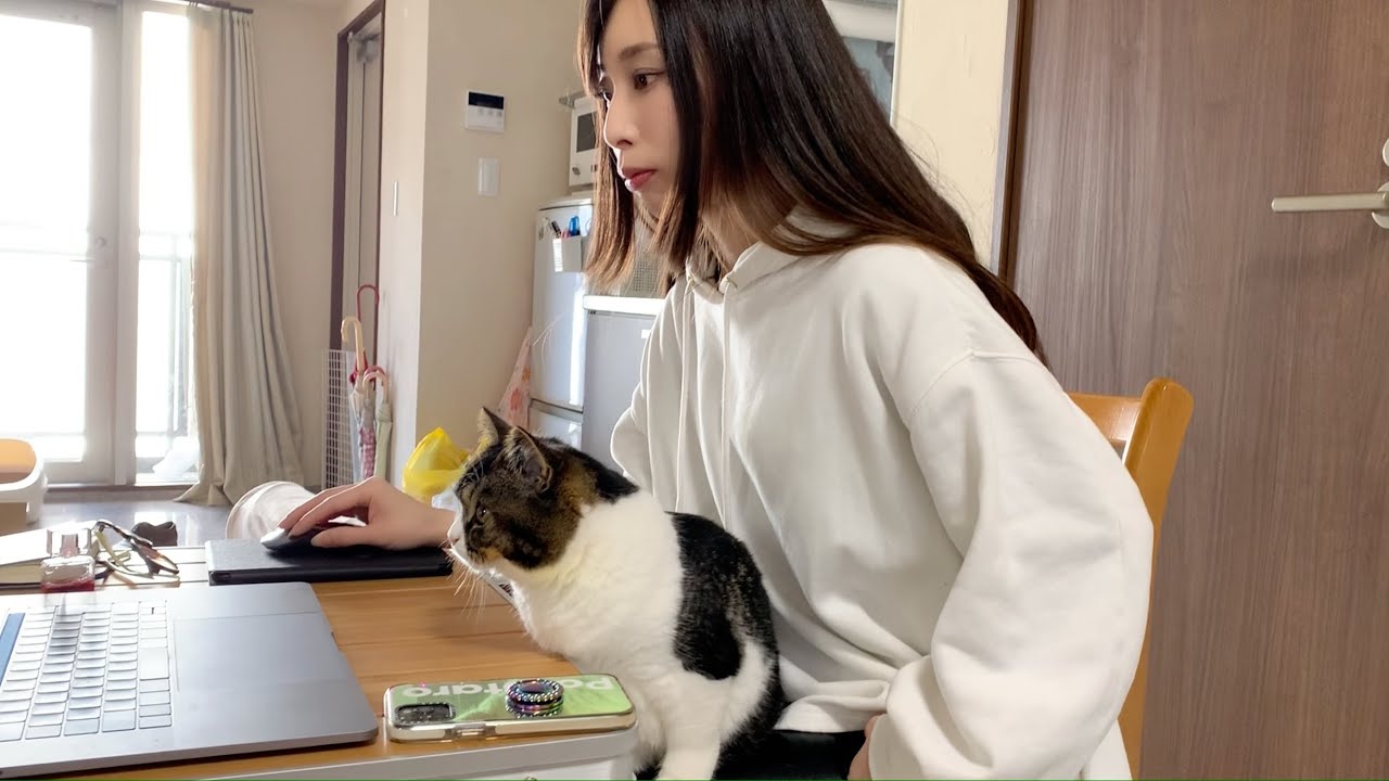 子猫のくっつき虫がすごいので、一緒に仕事してみました。