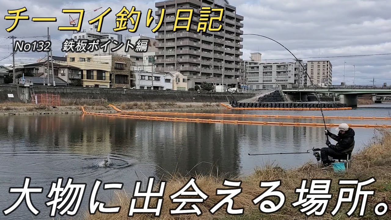【鯉釣り】大物はアタリの瞬間が勝負の分かれ目！