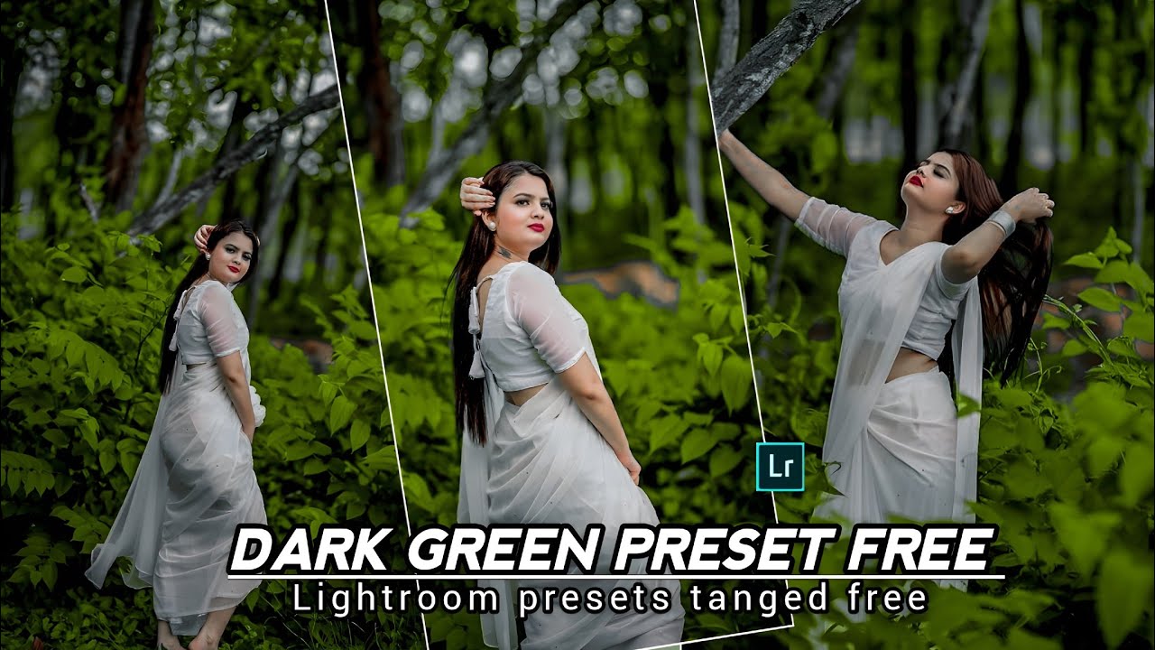 Бесплатный пресет Lightroom темно-зеленый || Новая функция редактирования || Редактирование в оди...
