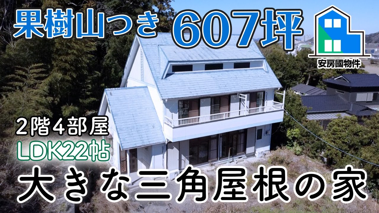 広々規格の大型ハウス！600坪どうやって使う？【売買】安房郡鋸南町