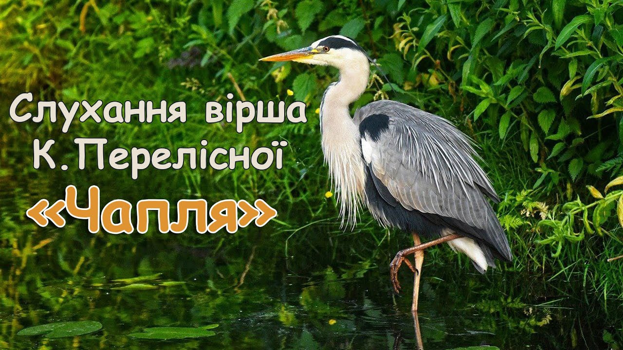 Слухання вірша К. Перелісної  