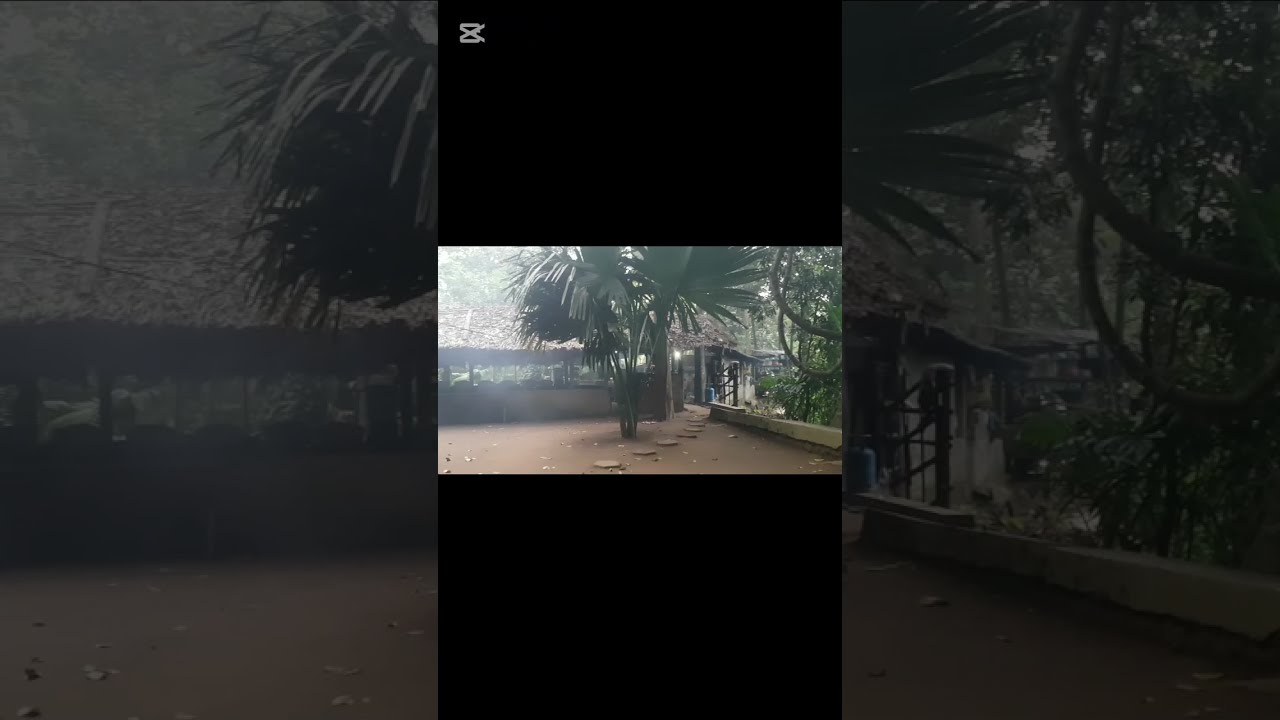 බුද්ධ භාවනා මධ්‍යස්ථානය - කොටගම, බිබිල | Kotagama Buddha Bawana Asapuwa | Bibile