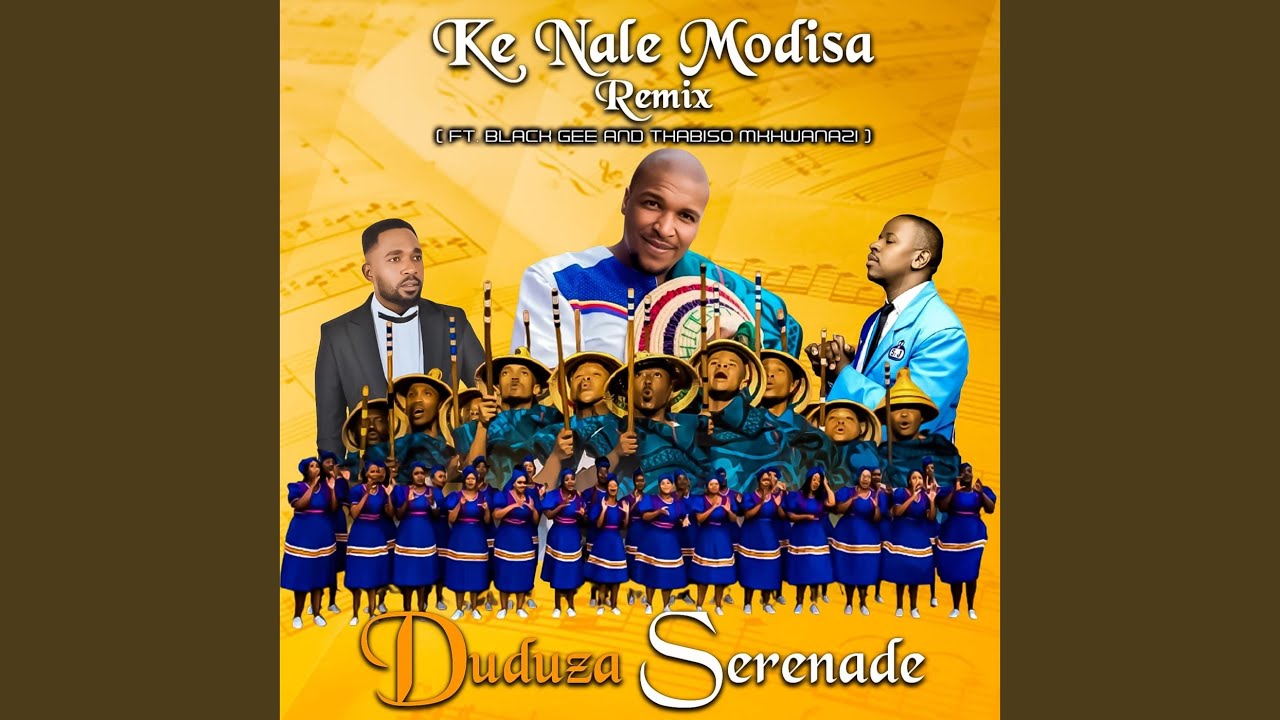Ke Nale Modisa (Remix)