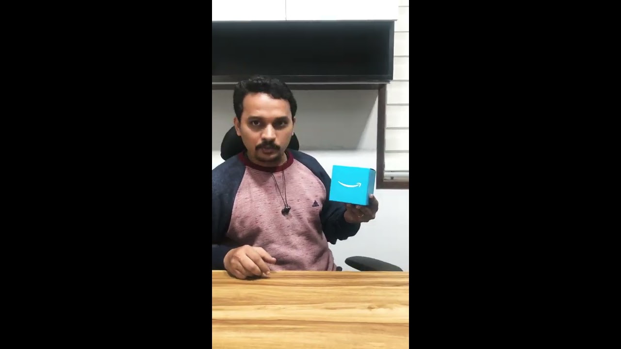 Amazon Echo Input Portable Speaker