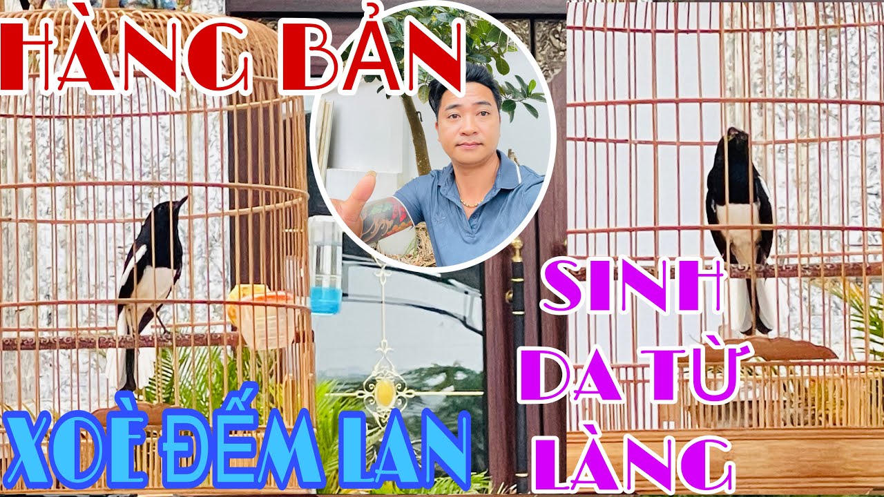 HÀNG QUÊ XẠCH TƯNG—NẾT CHƠI MÃN NHÃN—ĐUÔI XOÈ LÁ VẢ—CHƠI NHƯ MÁY