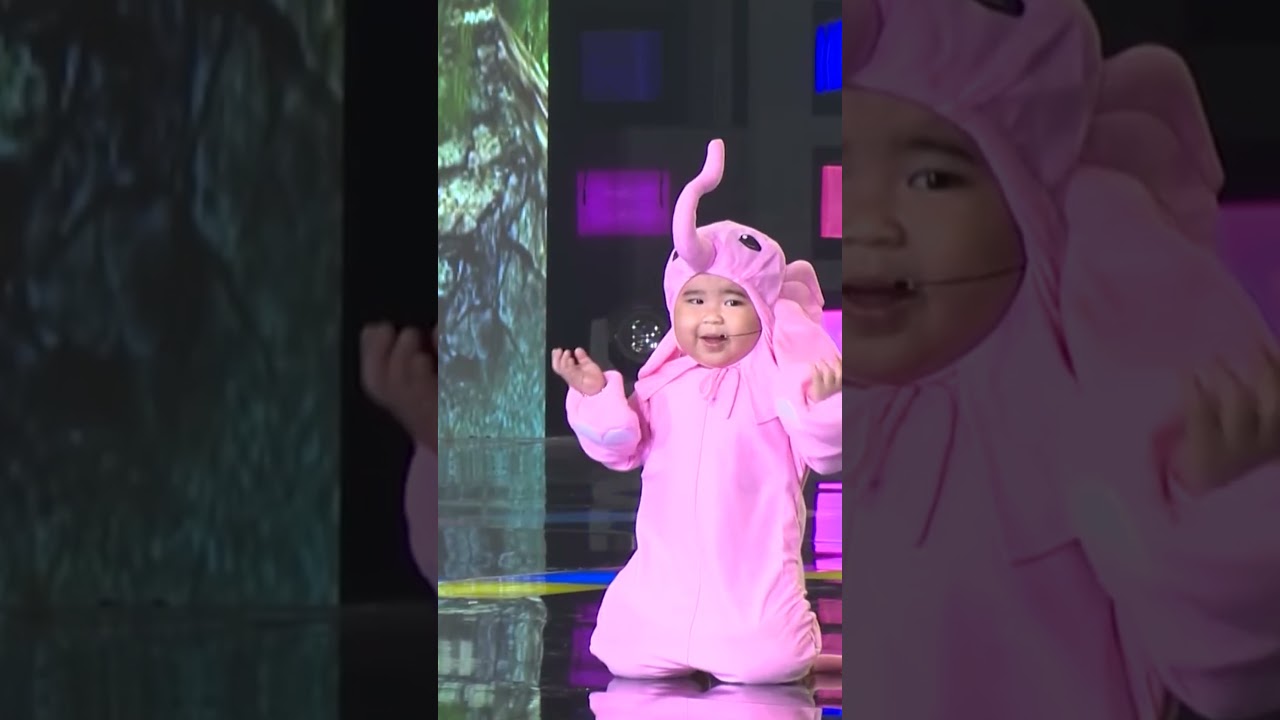 Ku Tin h&oacute;a th&acirc;n th&agrave;nh Ch&uacute; voi con khiến kh&aacute;n giả tan chảy v&igrave; qu&aacute; dễ thương