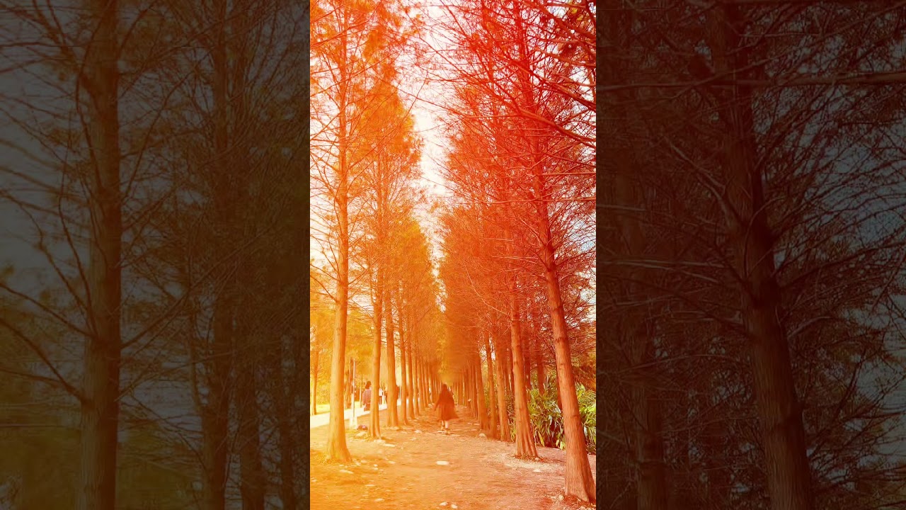 Yuemei Wetland Ecology Park 