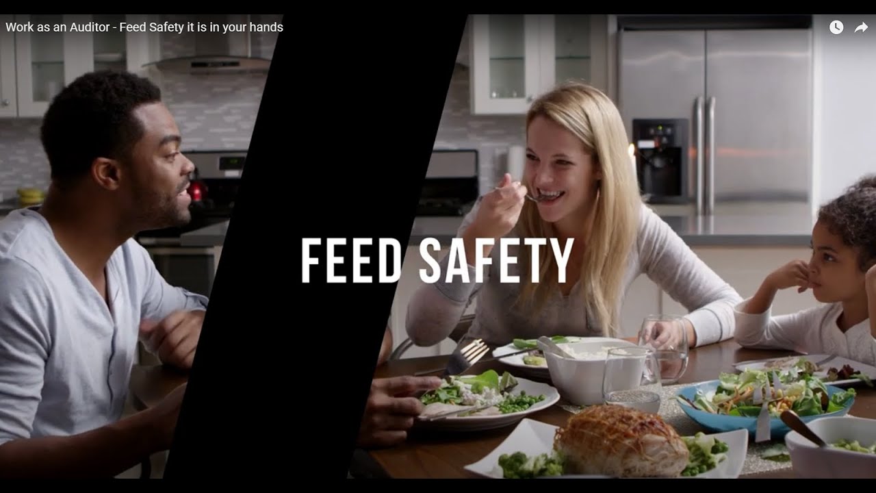 Work as an Auditor - Feed Safety it is in your hands