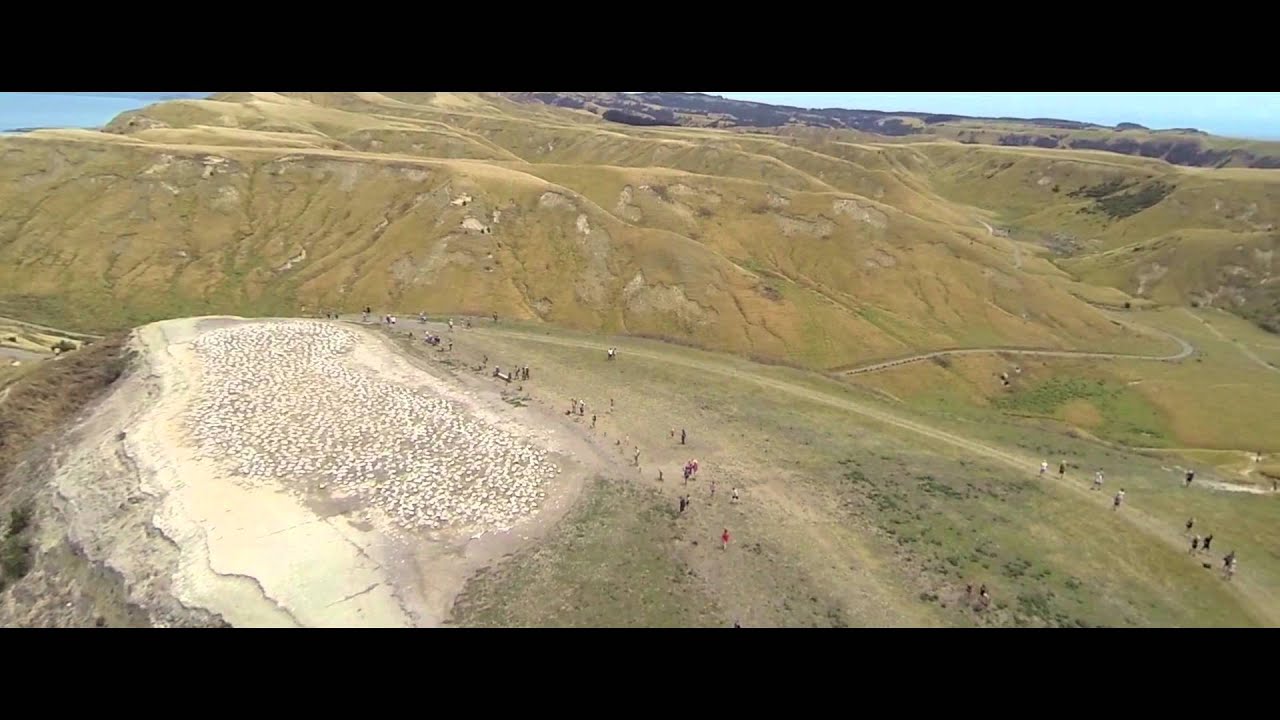 Quadcopter Flight Cape Kidnappers Australian Gannet Colony Hawke's Bay New Zealand