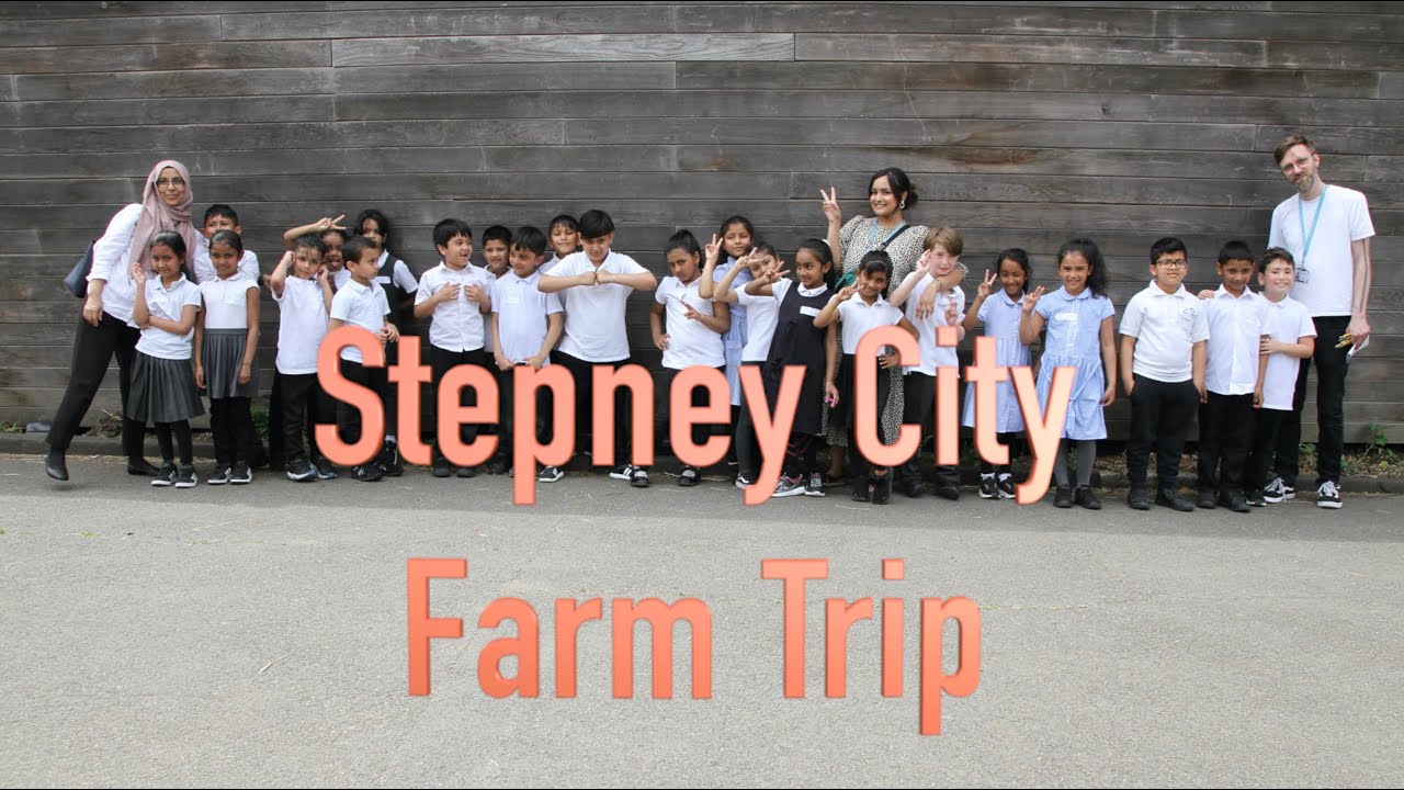 Stepney City Farm Trip
