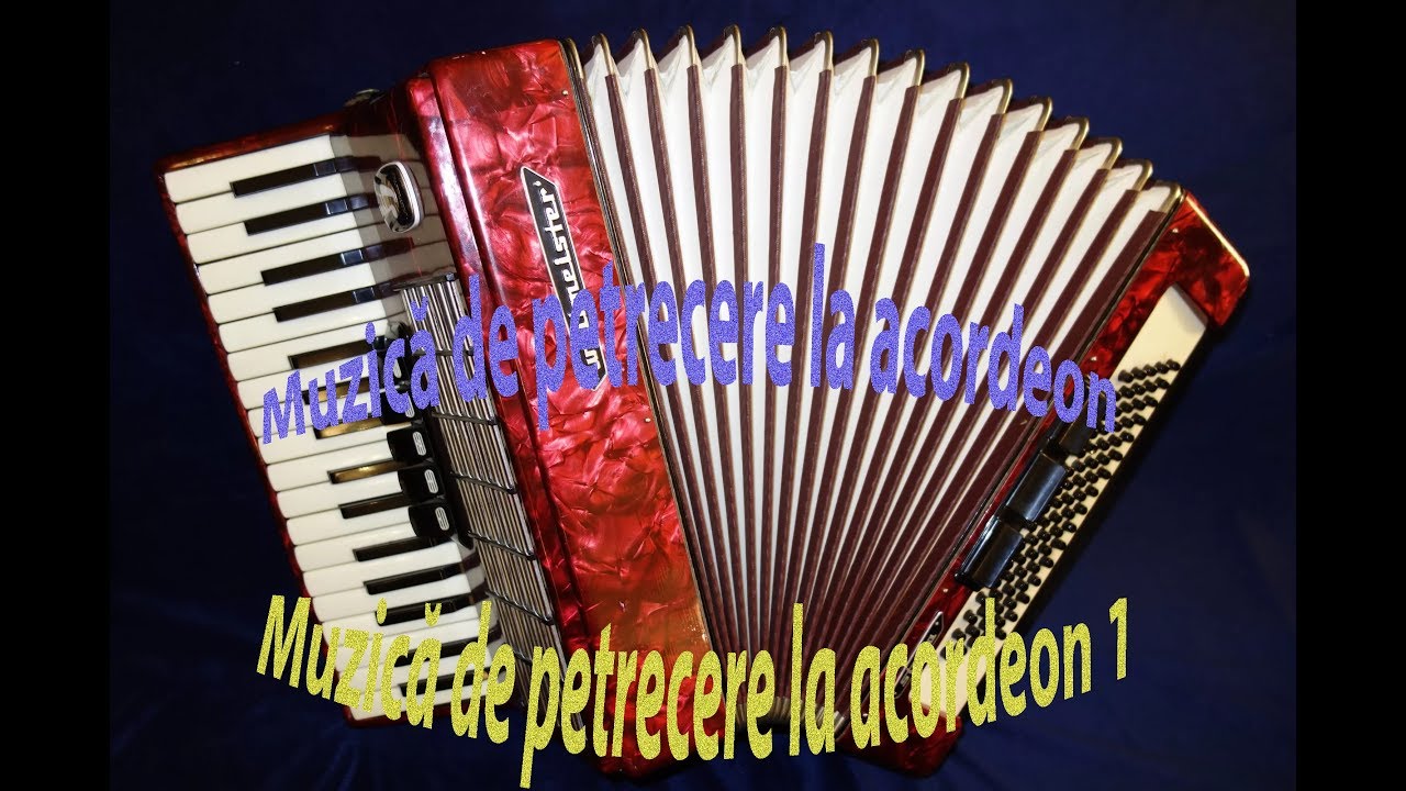 Muzică de petrecere la acordeon 1 (muz4muz Cover)