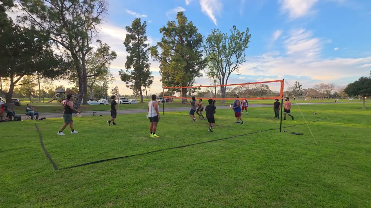 3-1-2026 Vega VB THREE