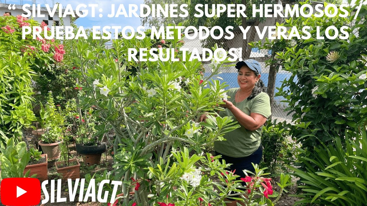 EL JARDIN DE SILVIAGT: 