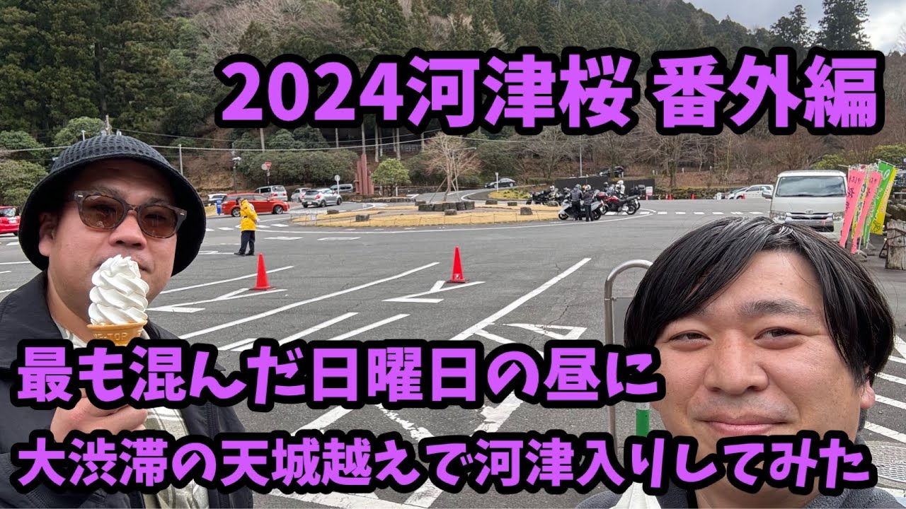 【2024河津桜まつり】2.18 大渋滞の天城越えで河津に帰る　河津櫻　ライブカメラ　国道　４１４号線