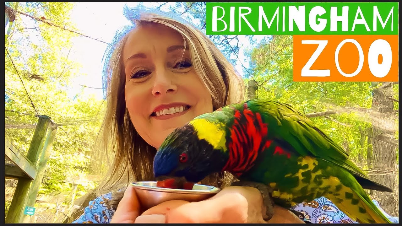 Birmingham Zoo - Alabama                 #zoo #birmingham #alabama