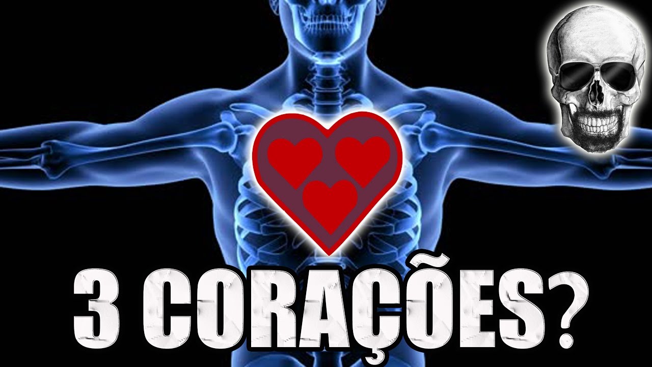 Vídeo Aula 152 | Sistema Circulatório | Anatomia Humana: Coração Periférico, Retorno Venoso e Edemas