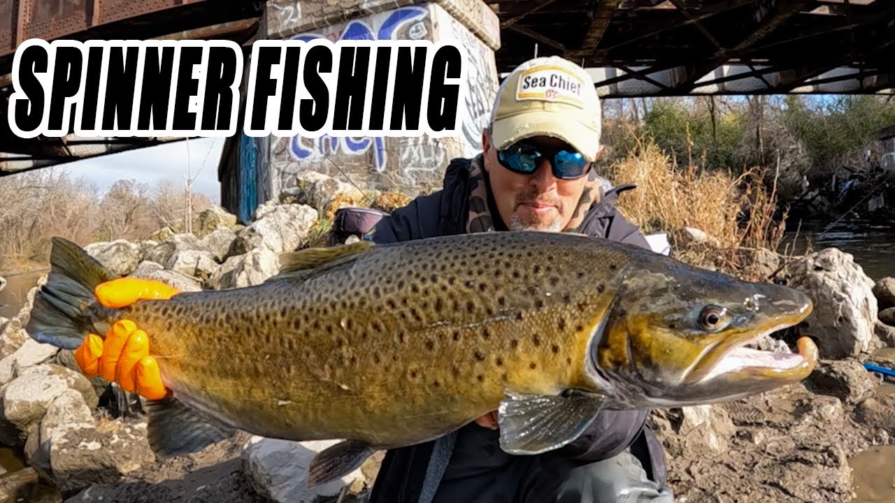 Have You Tried Casting Spinners for Big Brown Trout ??