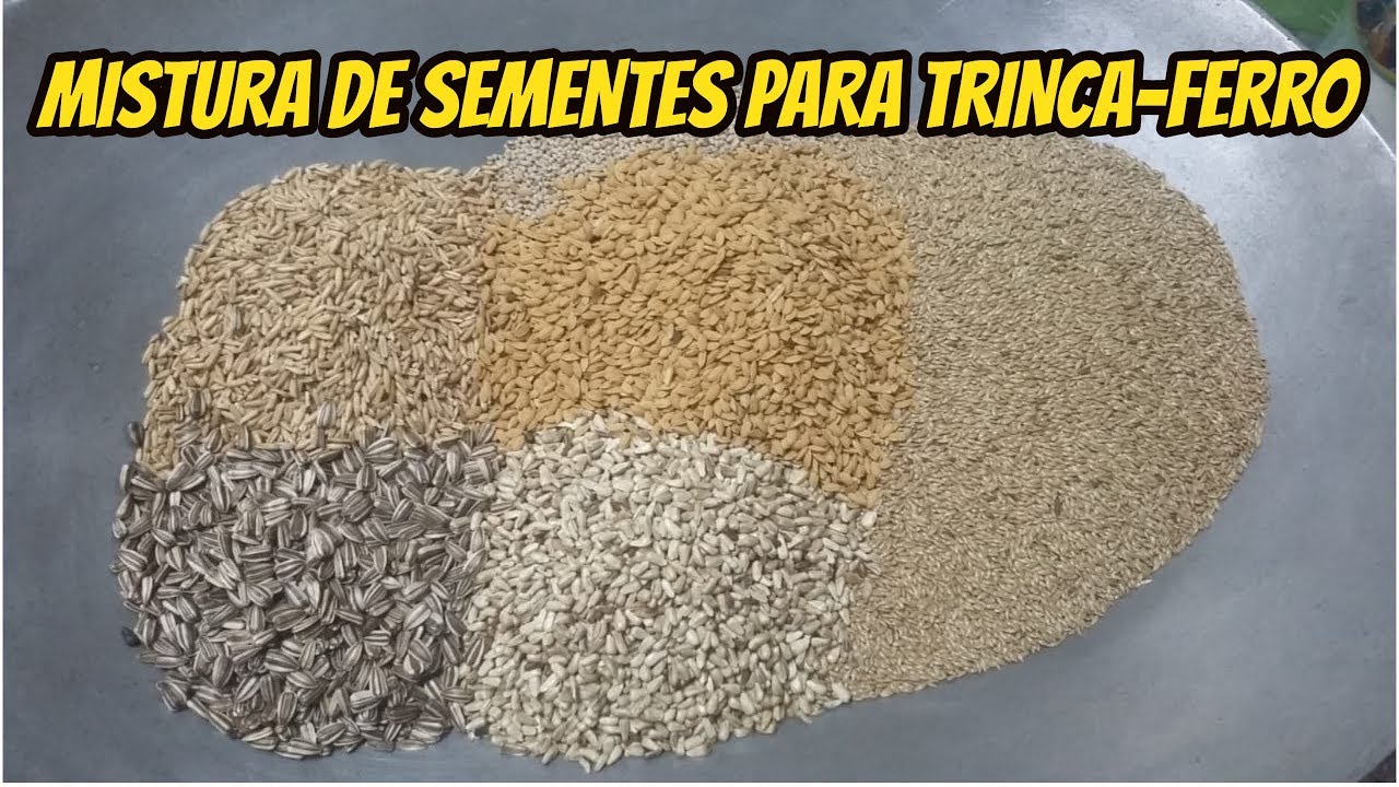 DICA MISTURA de SEMENTES pra TRINCA-FERRO