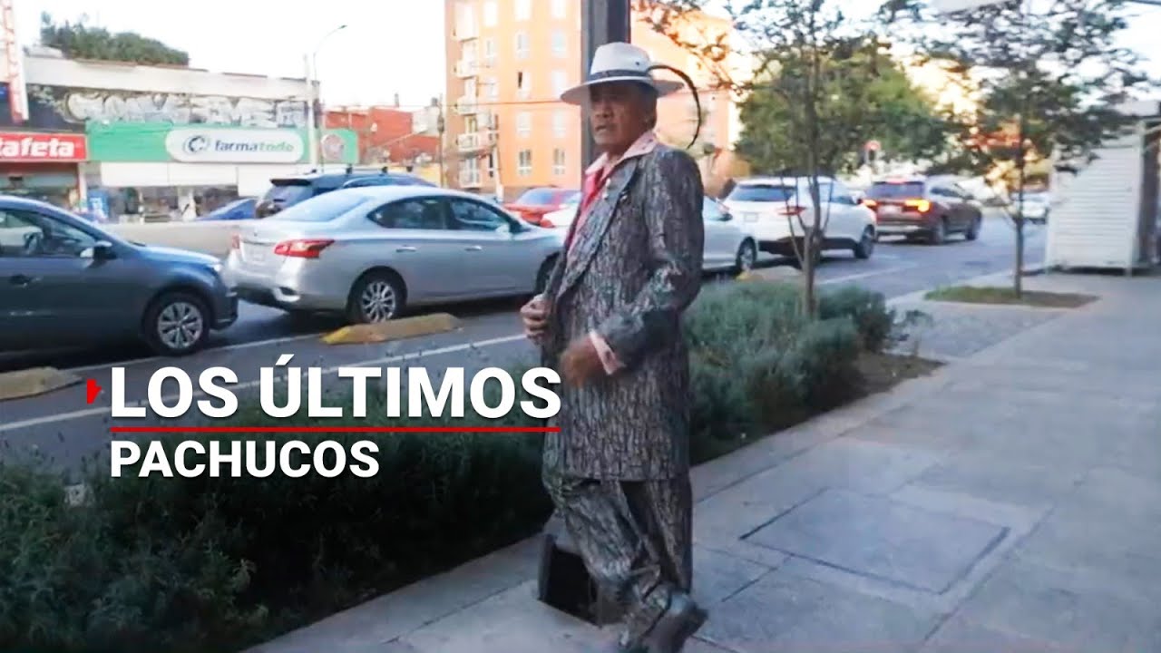 Los PACHUCOS, una tribu urbana que se niega a morir en México