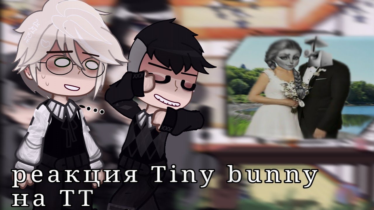 реакция tiny bunny/зайчика на тт (будущее)