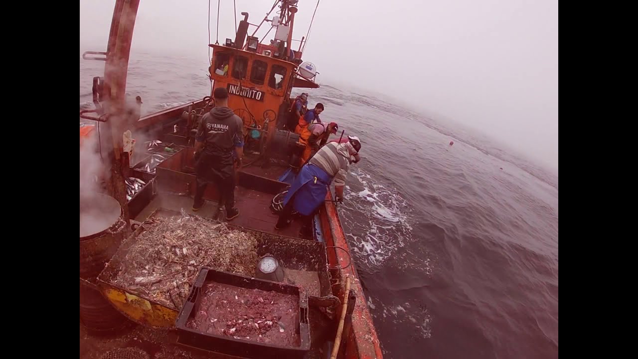 Pesca artesanal de magru en Mar del Plata