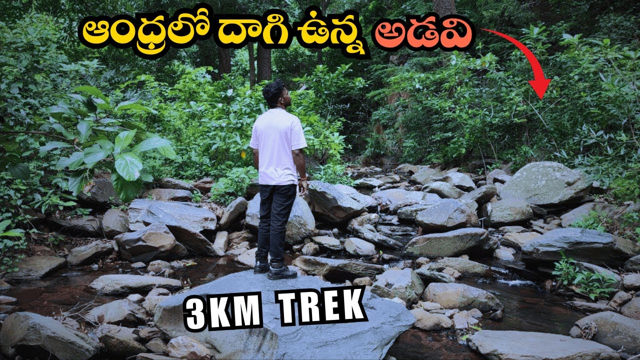 3KM Trek in Lankamalla Deep Forest 🌲 | Hidden Forest in Andhra Pradesh | Nature Adventure